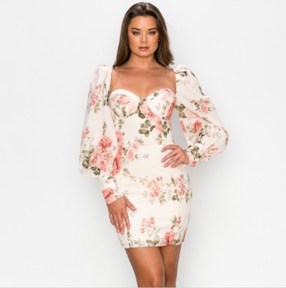 Romantic Floral Sweetheart Puff Sleeve Bodycon Mini Dress Medium Valentines NWOT - Picture 3 of 16